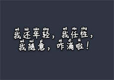 不受国内限制的搜索引擎
